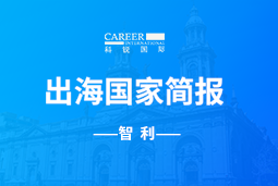 龙8头号玩家国际GO GLOBAL | 智利国家简报
