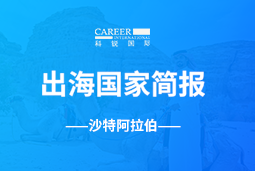 龙8头号玩家国际GO GLOBAL | 沙特阿拉伯国家简报